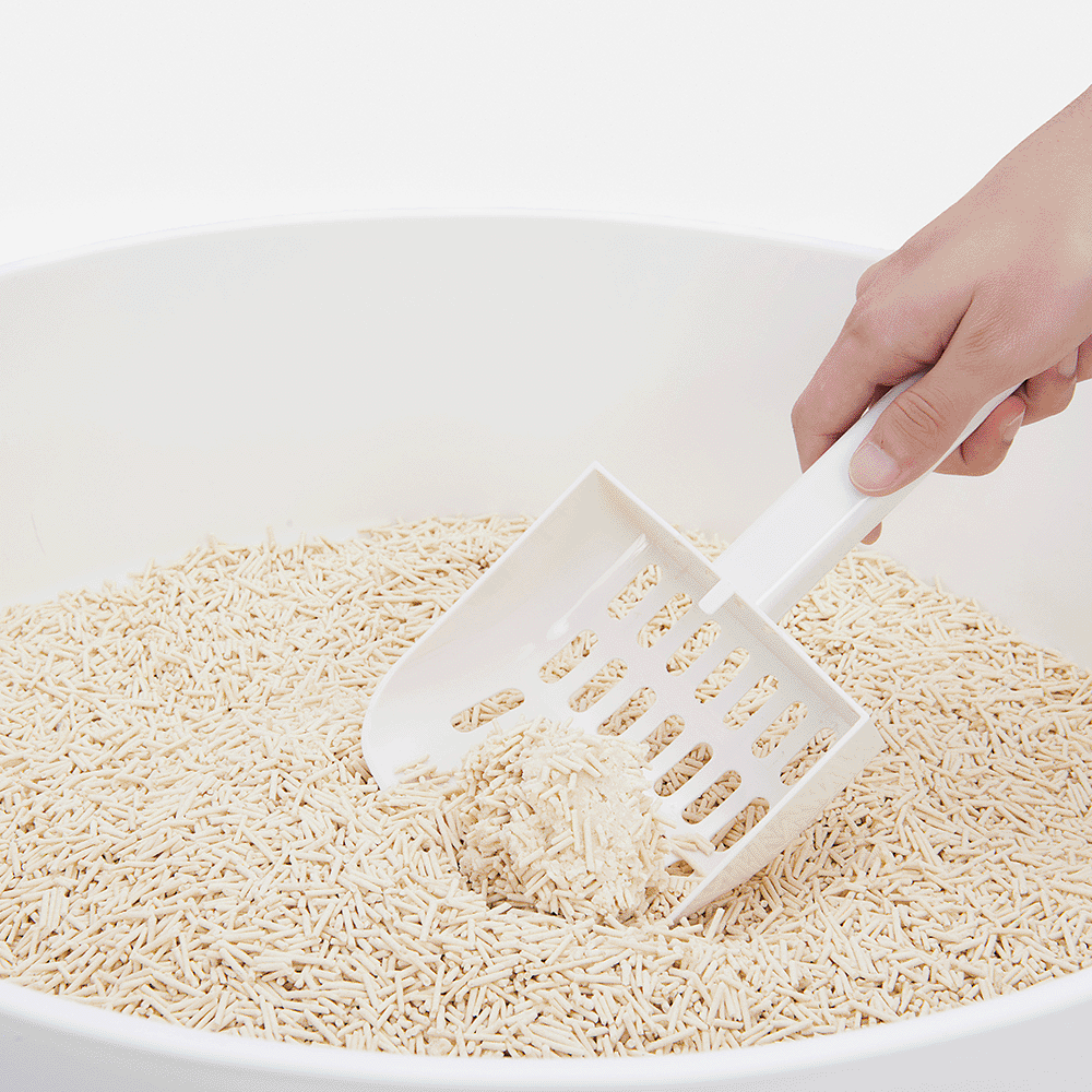 Cát đậu nành cũng có khả năng vón cục khi gặp nước - Bumin Pet Corner