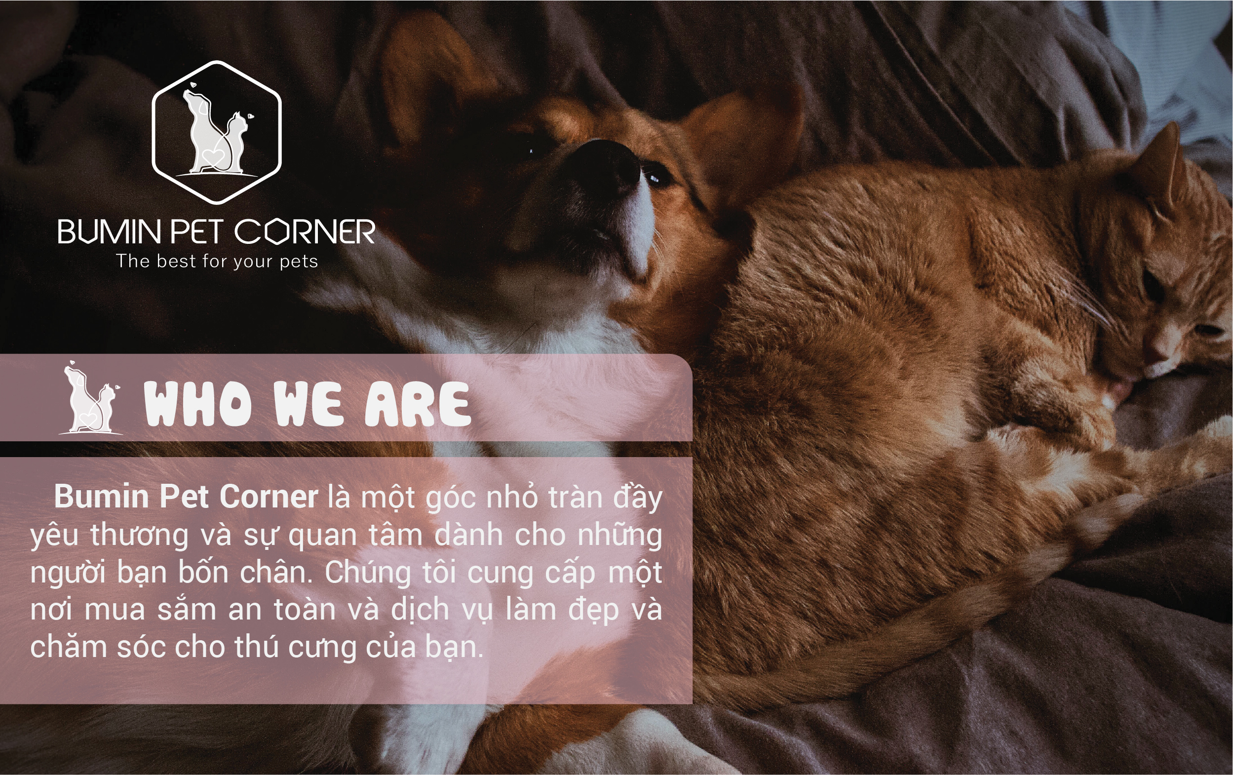 Giới thiệu Bumin Pet Corner Giới thiệu Bumin Pet Corner