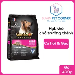 Thức ăn hạt khô cho chó trưởng thành Ganador Adult Cá hồi & Gạo 400g