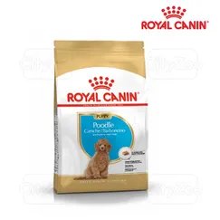 Thức ăn hạt khô cho Chó Poodle Puppy - Royal Canin Poodle Puppy 