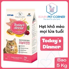 Thức ăn hạt cho mèo today's dinner gói 5kg