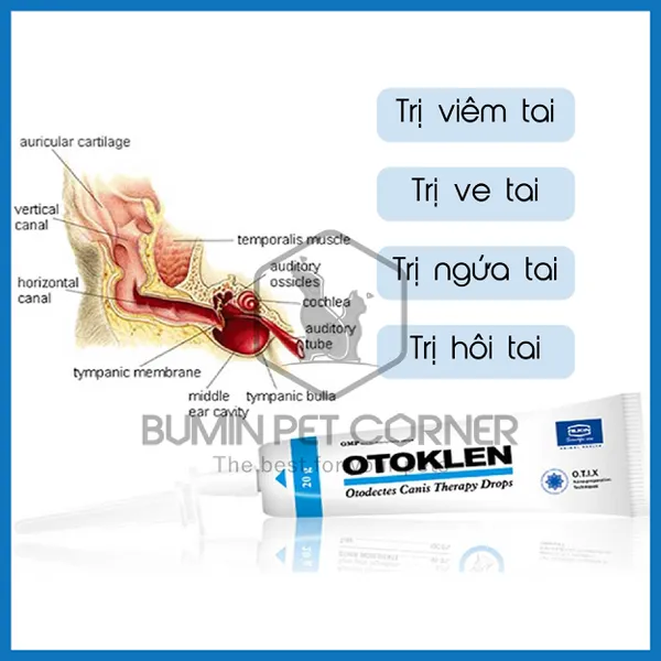 Thuốc nhỏ tai trị ve tai, viêm tai Alkin Otoklen - tuýp 20gr