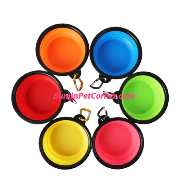 Bát ăn du lịch cho chó mèo