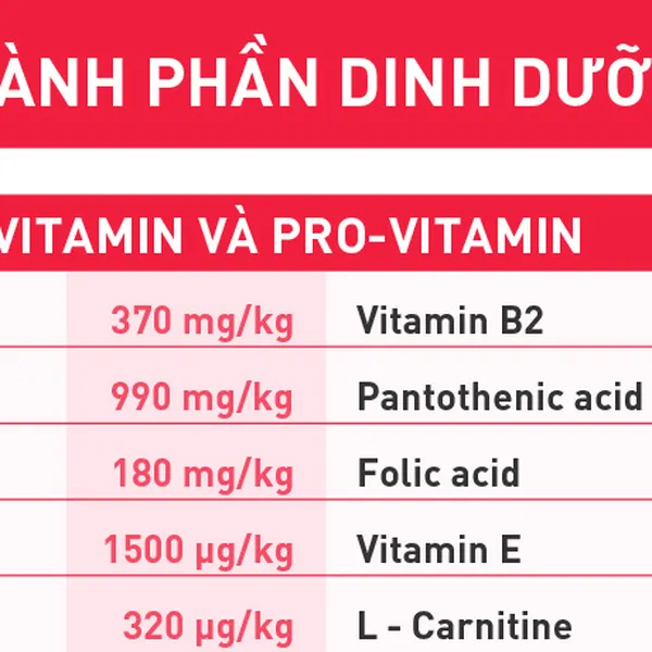 Gel dinh dưỡng cho chó Bearphar Multi Vitamin Paste tuýp 100g
