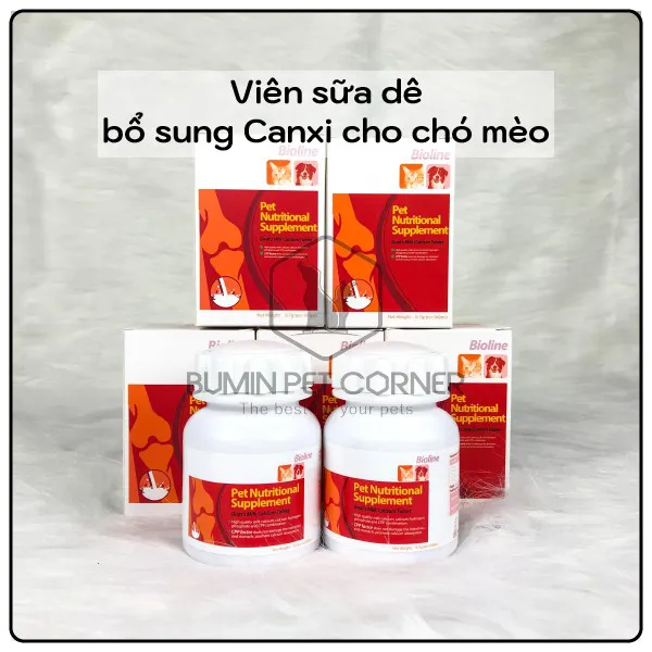 Viên sữa dê bổ sung Canxi cho chó mèo Bioline hộp 160 viên