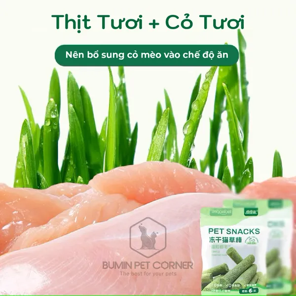 Que cỏ mèo đông khô Taotaopets gói 6 que