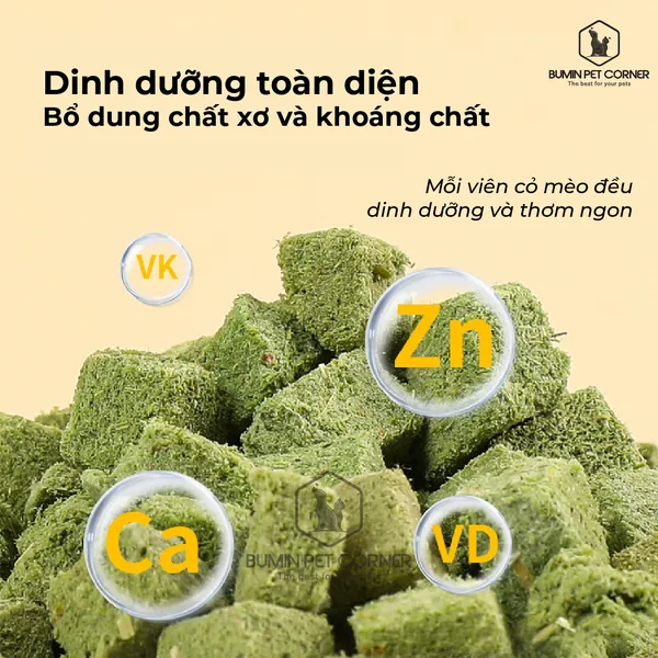 Viên cỏ mèo đông khô Taotaopets hũ 60g