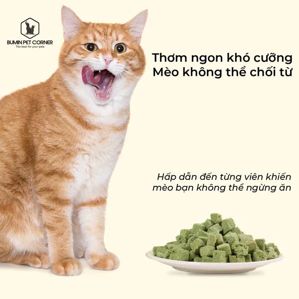 Viên cỏ mèo đông khô Taotaopets hũ 60g