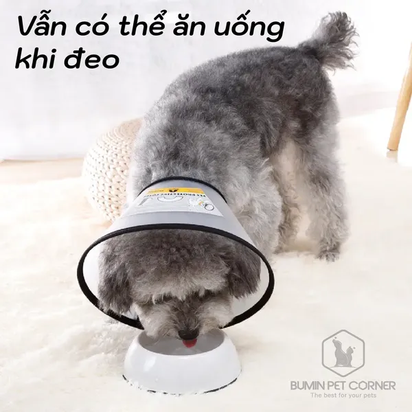 Loa chống liếm cho chó mèo Taotaopets