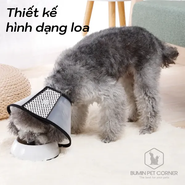 Loa chống liếm cho chó mèo Taotaopets