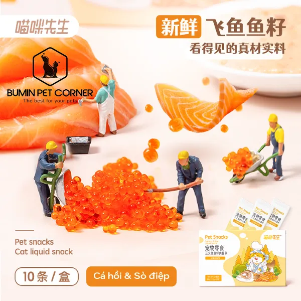 Combo 10 thanh Súp thưởng cho mèo Mr. Meow thanh 15gr