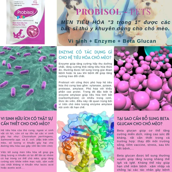 Men tiêu hóa cho chó mèo thỏ Probisol Pets Vemedim gói 5g