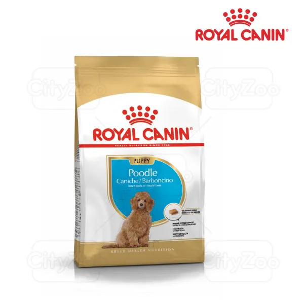 Thức ăn hạt khô cho Chó Poodle Puppy - Royal Canin Poodle Puppy 