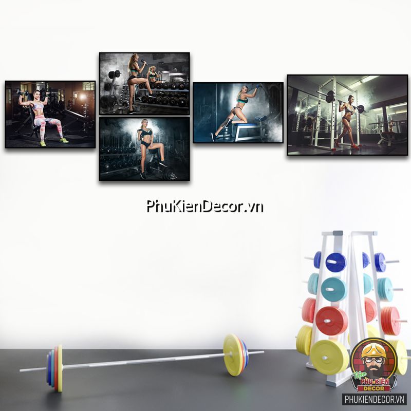 Hình ảnh tranh phòng gym trang trí thịnh hành, lôi cuốn khách hàng Hình ảnh tranh phòng gym trang trí thịnh hành, lôi cuốn khách hàng