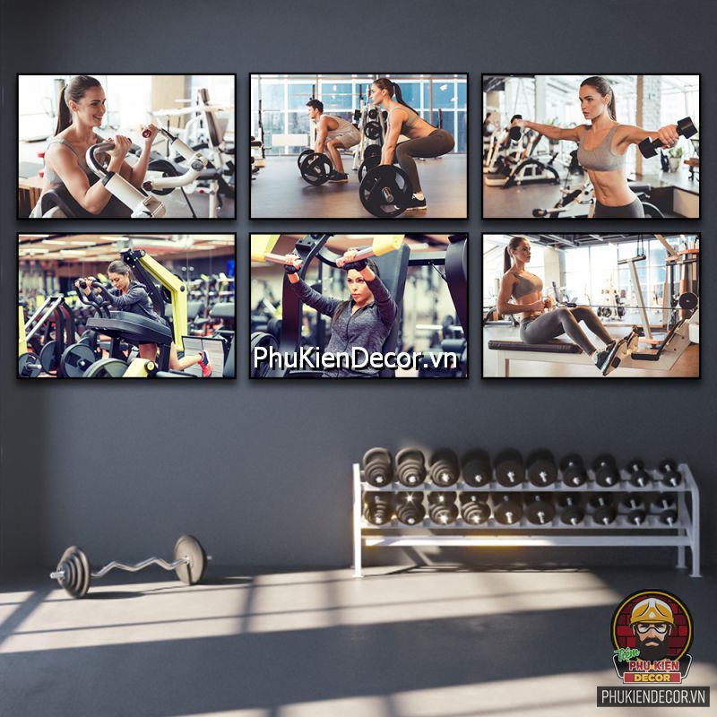 Tranh trang trí fitness đẹp mắt truyền cảm hứng đến những người học viên Tranh trang trí fitness đẹp mắt truyền cảm hứng đến những người học viên