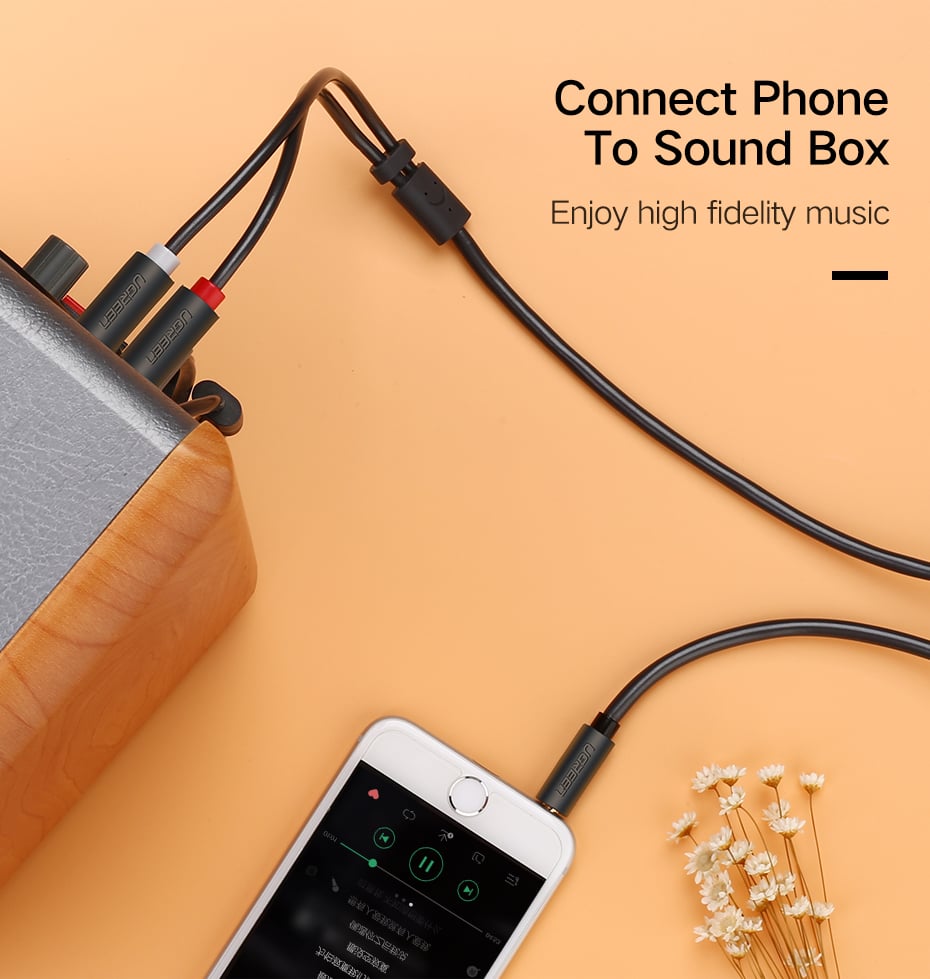 Đầu ra 2 RCA
