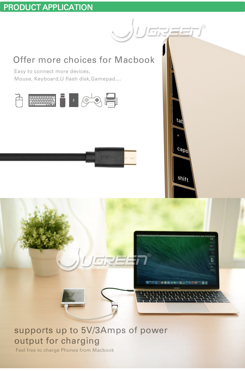 cap-chuyen-type-c-to-usb-otg, ugreen-30175