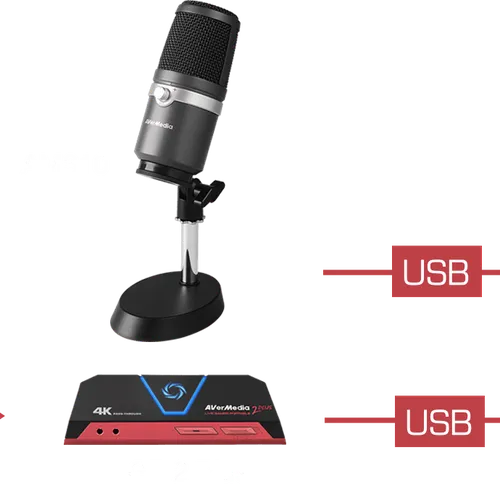 Thiết bị Micro Live Streamer Avermedia AM310