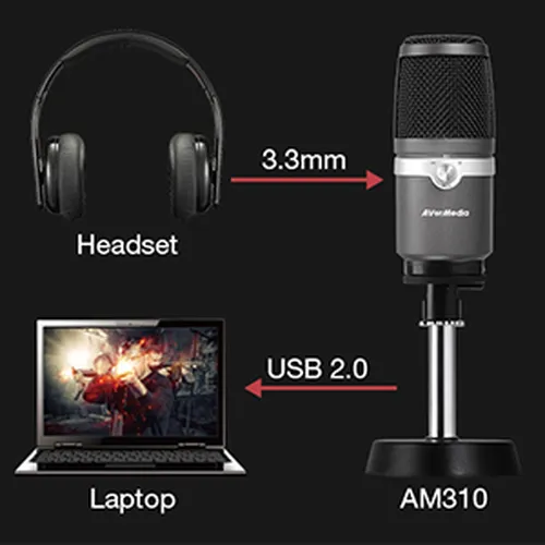 Thiết bị Micro Live Streamer Avermedia AM310
