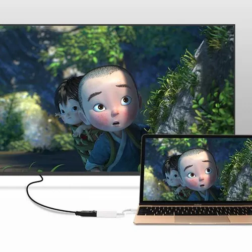 Cáp chuyển USB Type C to Displayport (âm) Ugreen 40372