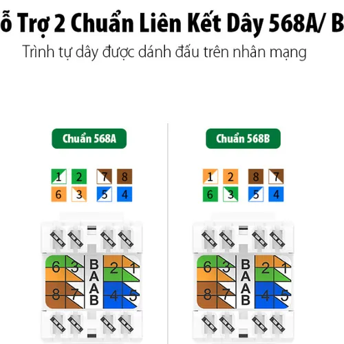 Nhân mạng âm tường Cat6 8P8C Ugreen 30844