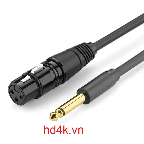 Cáp chuyển 6.5mm to Canon dài 10M Ugreen 20723