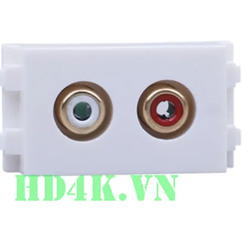 Socket outlet AV (RCA) âm tường loại vặn vít HD-LINK
