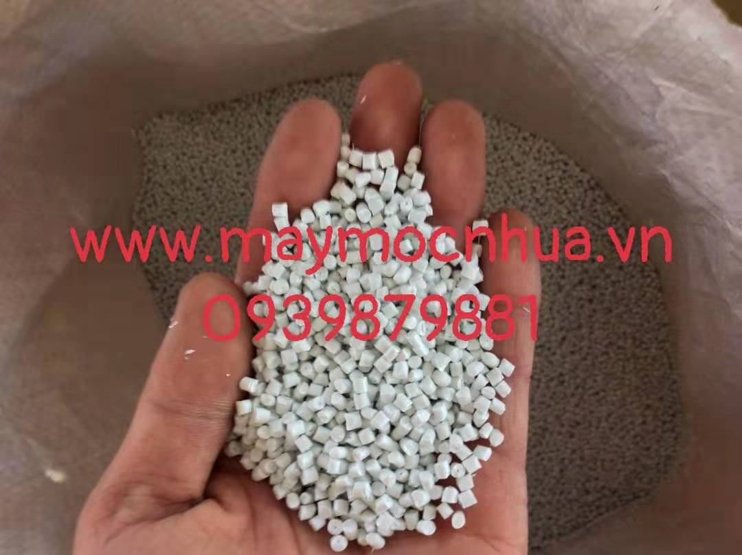 Máy tạo hạt PS