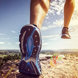 Hỗn Hợp Dinh Dưỡng Thể Thao