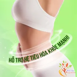 Hỗn hợp chất xơ hoạt hóa