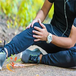 Thực phẩm hỗ trợ xương khớp