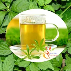 Trà Thảo Mộc Cô Đặc 