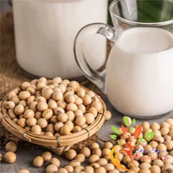 Thực phẩm ăn kiêng - Bột Protein