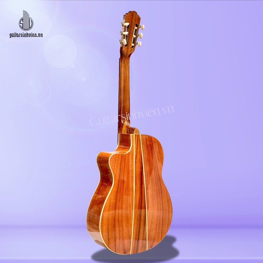 Đàn guitar classic gỗ hồng đào giá rẻ SV-C2 Đàn guitar classic gỗ hồng đào giá rẻ SV-C2