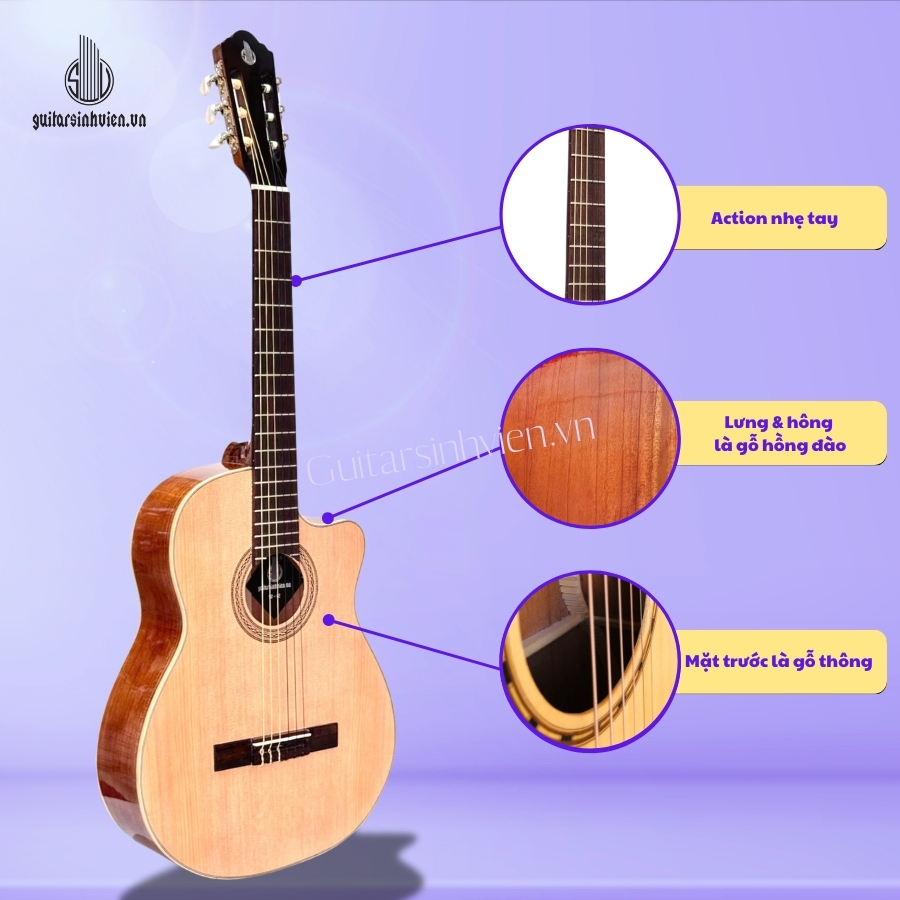 Đàn guitar classic gỗ hồng đào giá rẻ SV-C2 Đàn guitar classic gỗ hồng đào giá rẻ SV-C2