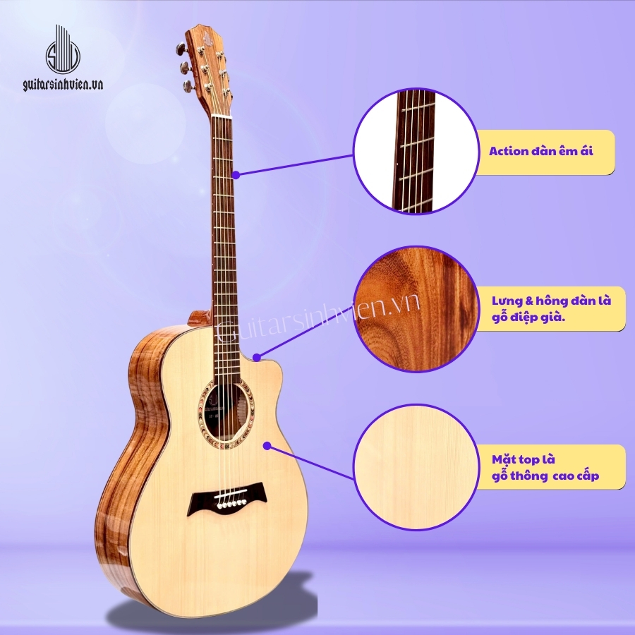 Đàn guitar acoustic gỗ điệp cao cấp SV-A5. Đàn guitar acoustic gỗ điệp cao cấp SV-A5.