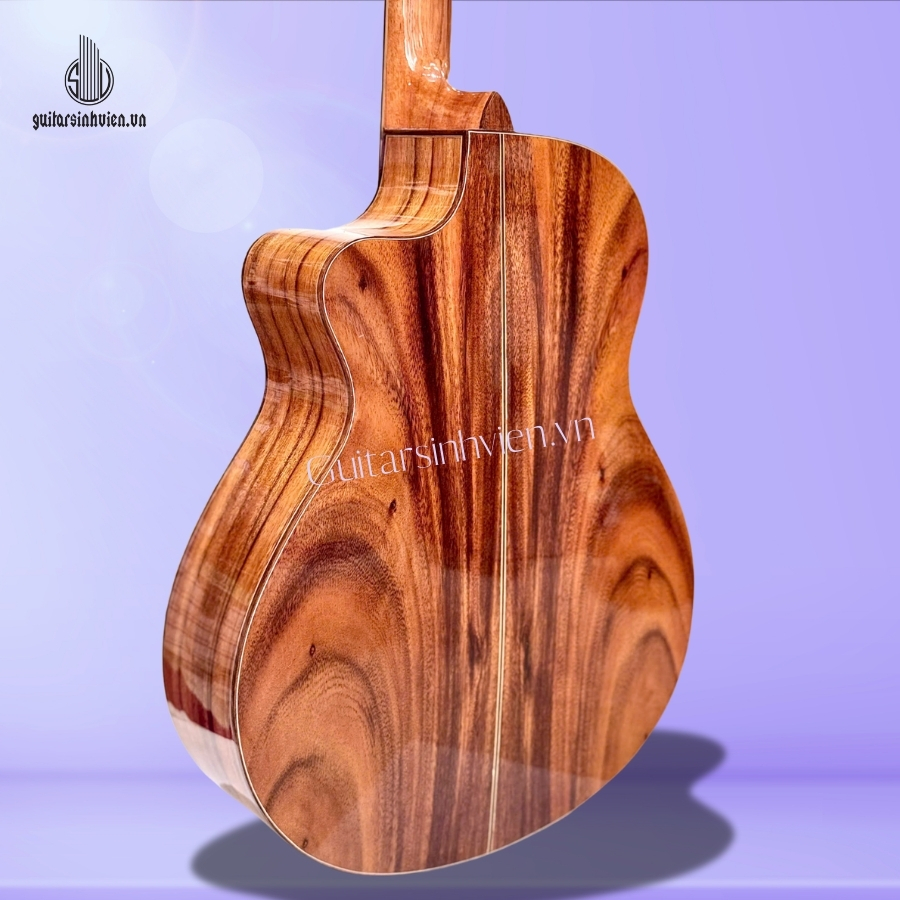 Đàn guitar acoustic gỗ điệp cao cấp SV-A5. Đàn guitar acoustic gỗ điệp cao cấp SV-A5.