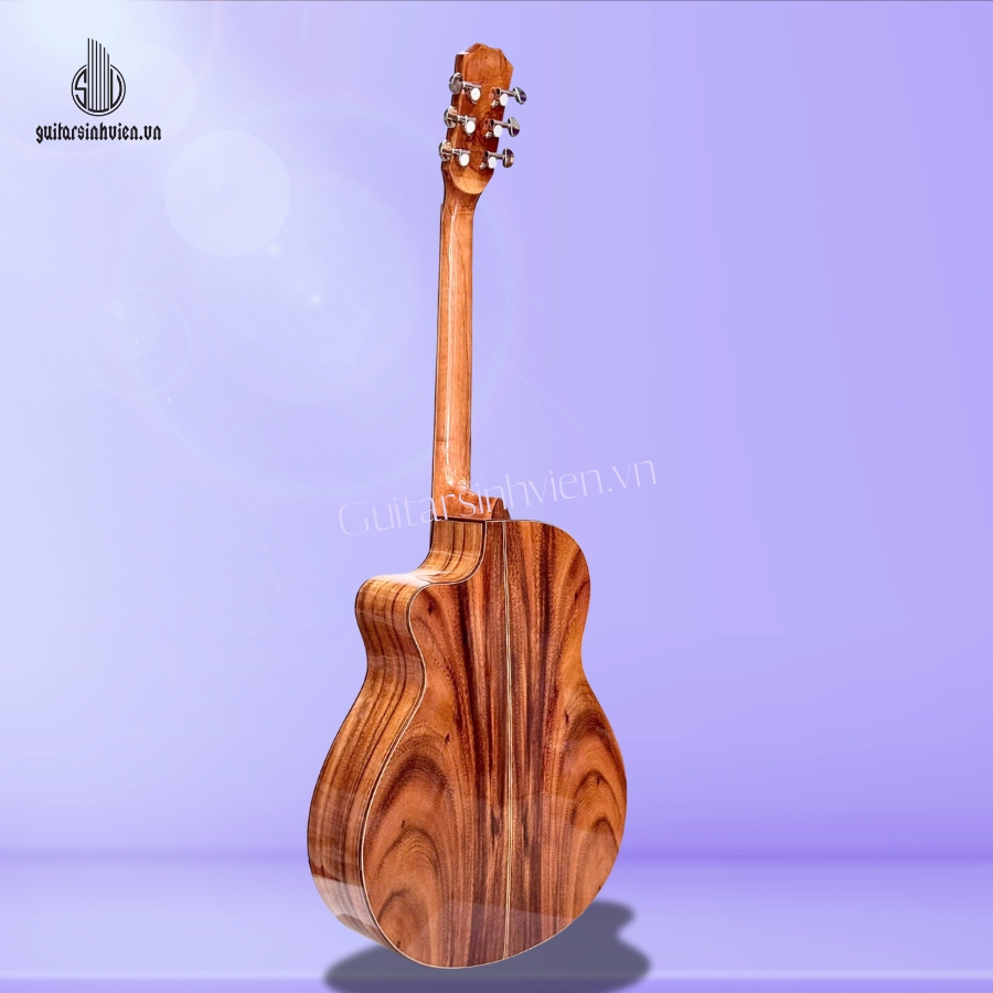 Đàn guitar acoustic gỗ điệp cao cấp SV-A5. Đàn guitar acoustic gỗ điệp cao cấp SV-A5.