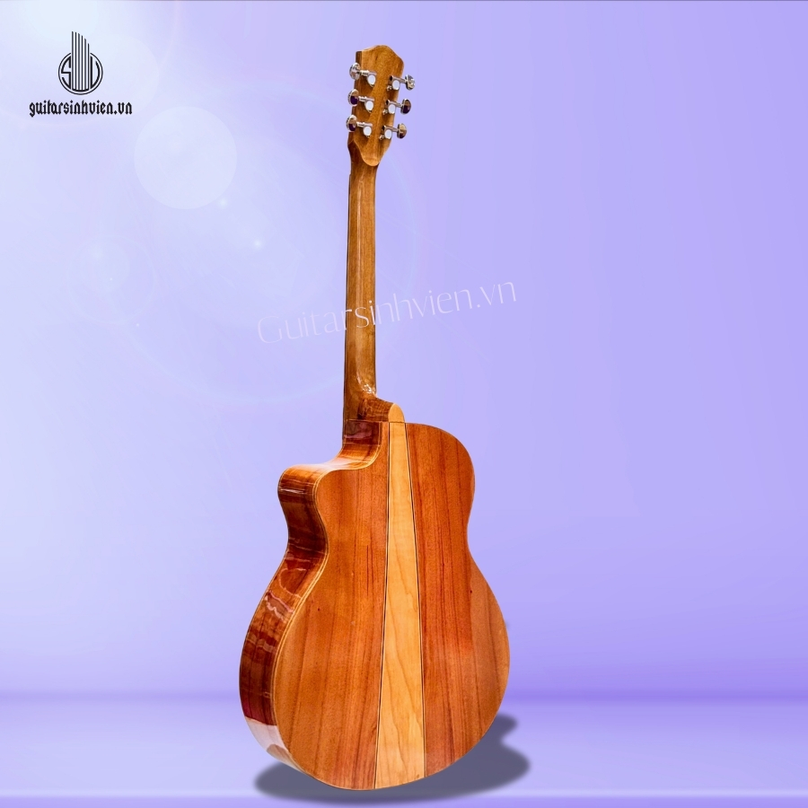 Đàn guitar gỗ tập chơi giá rẻ SV-FA2V Đàn guitar gỗ tập chơi giá rẻ SV-FA2V