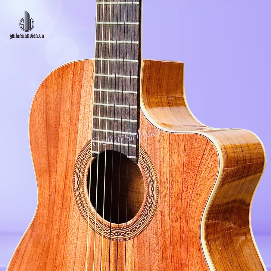 Đàn Guitar Classic Full Gỗ Hồng Đào SV-FC2 Đàn Guitar Classic Full Gỗ Hồng Đào SV-FC2