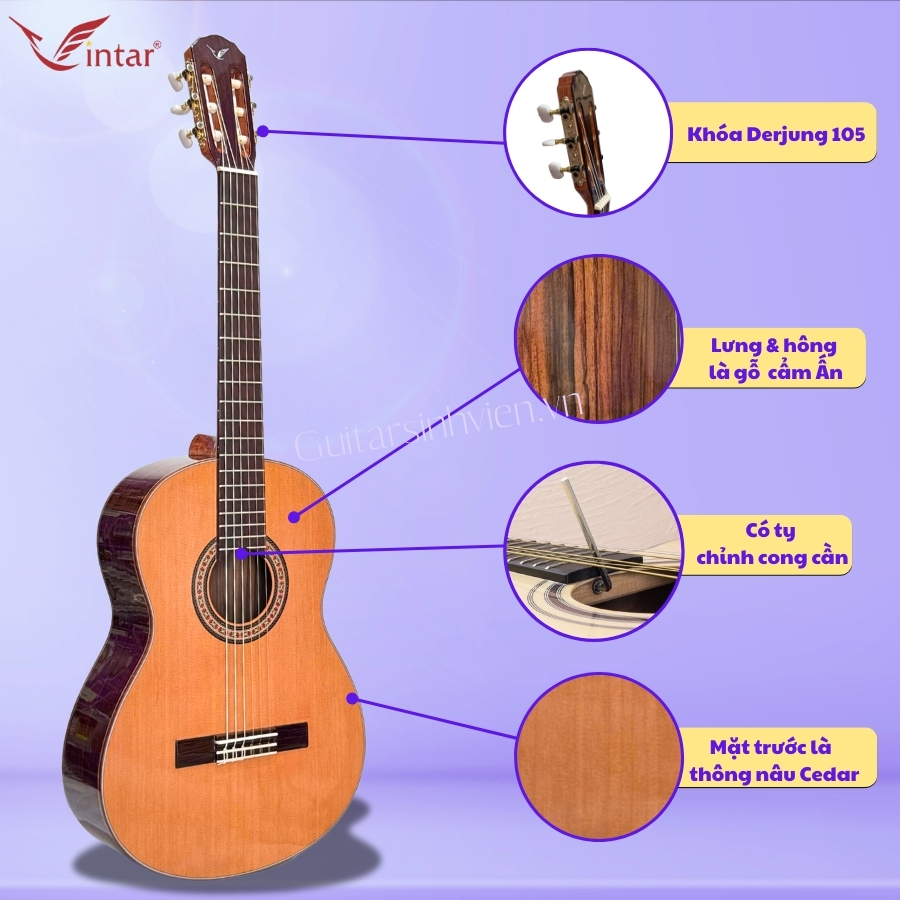 Đàn guitar classic gỗ cẩm Ấn cao cấp SV-C7 Đàn guitar classic gỗ cẩm Ấn cao cấp SV-C7