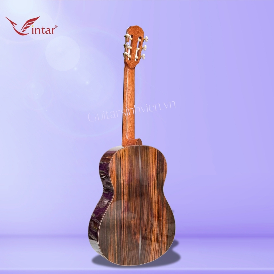 Đàn guitar classic gỗ cẩm Ấn cao cấp SV-C7 Đàn guitar classic gỗ cẩm Ấn cao cấp SV-C7