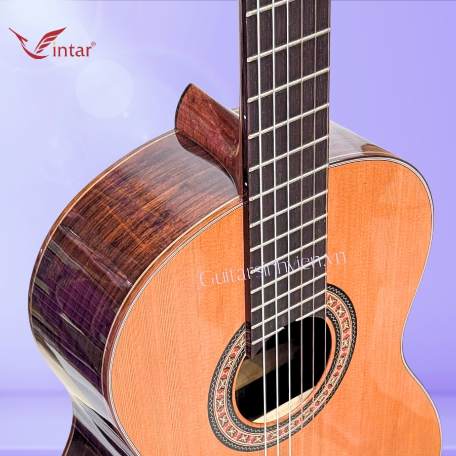 Đàn guitar classic gỗ cẩm Ấn cao cấp SV-C7 Đàn guitar classic gỗ cẩm Ấn cao cấp SV-C7