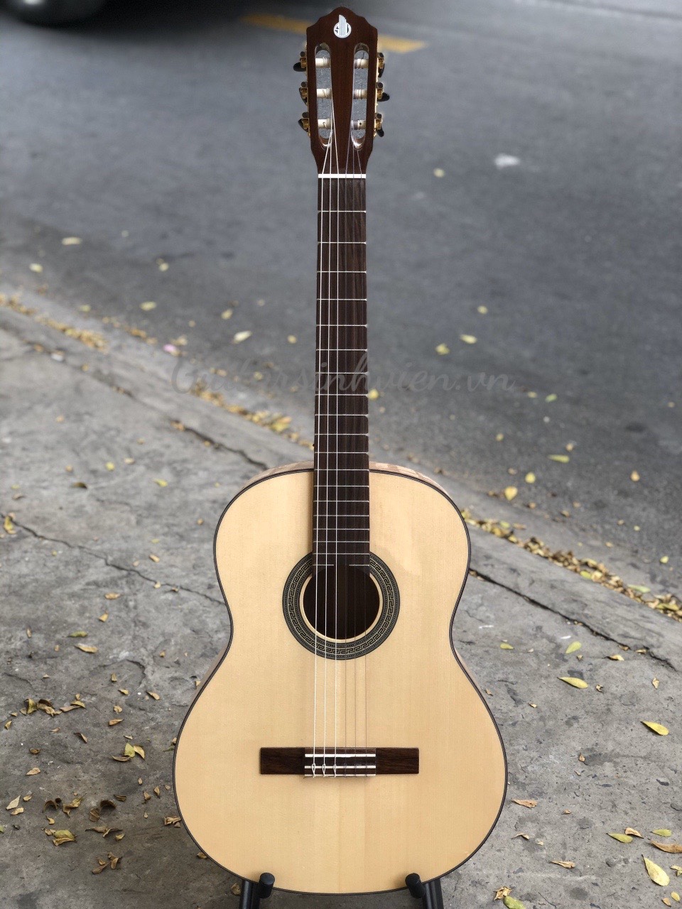 đàn guitar classic gỗ cong cườm cao cấp sv-c6 đàn guitar classic gỗ cong cườm cao cấp sv-c6