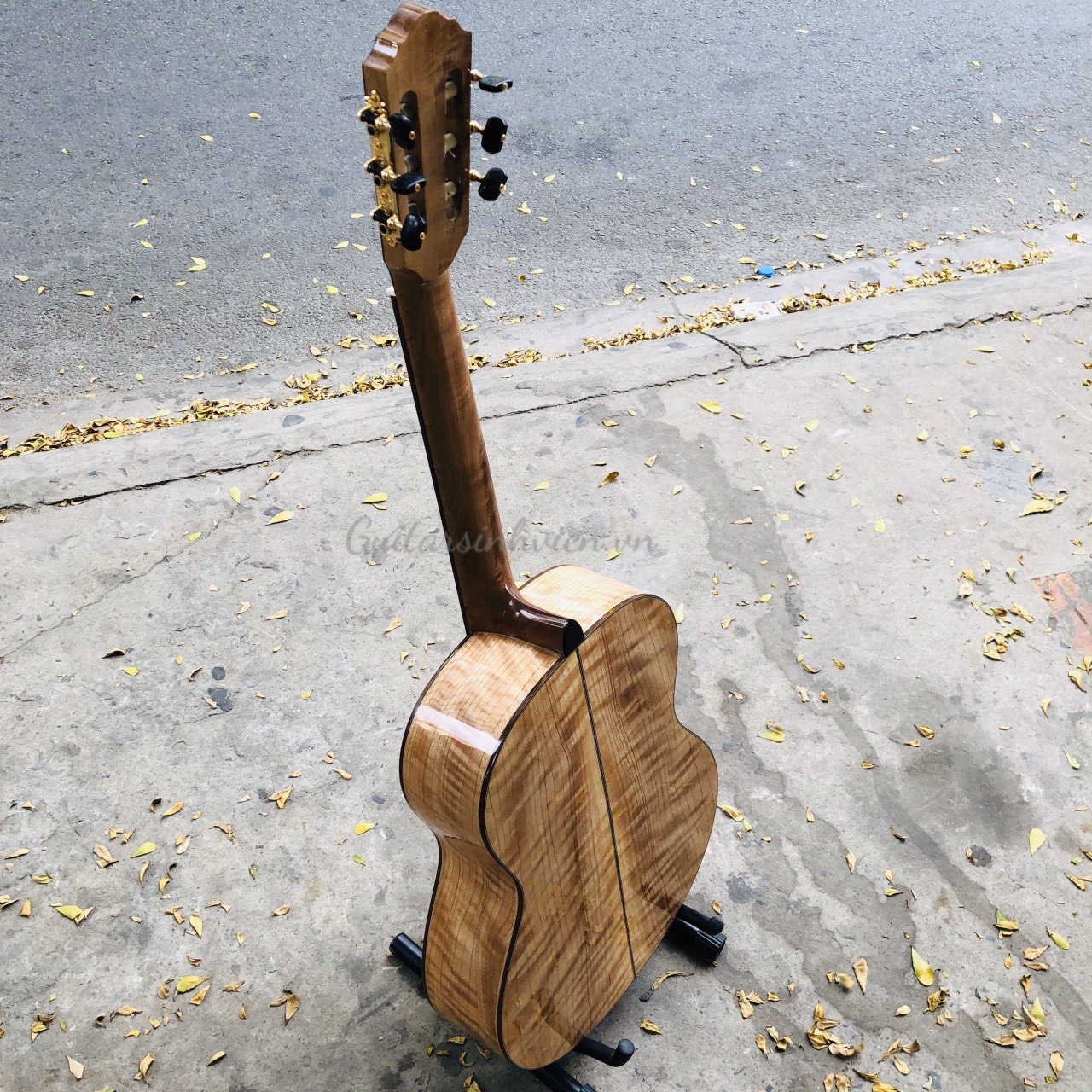 đàn guitar classic gỗ cong cườm cao cấp sv-c6 đàn guitar classic gỗ cong cườm cao cấp sv-c6