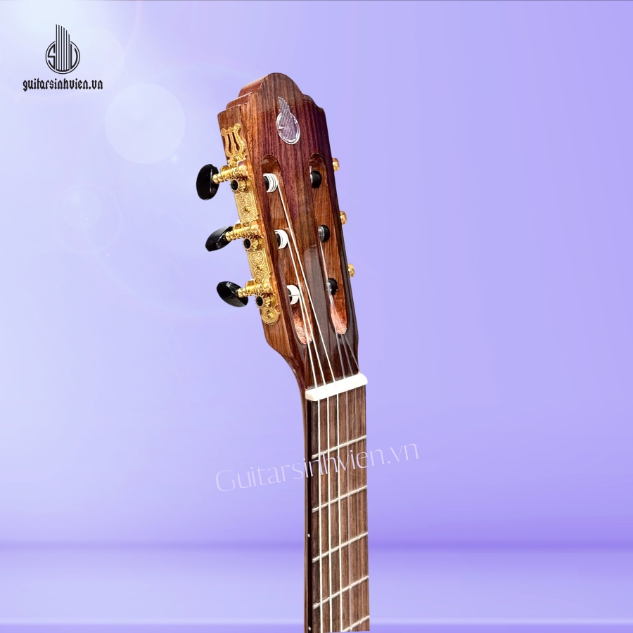 Đàn Guitar Classic Gỗ Sồi Pháp Cao Cấp SV-C6 Đàn Guitar Classic Gỗ Sồi Pháp Cao Cấp SV-C6