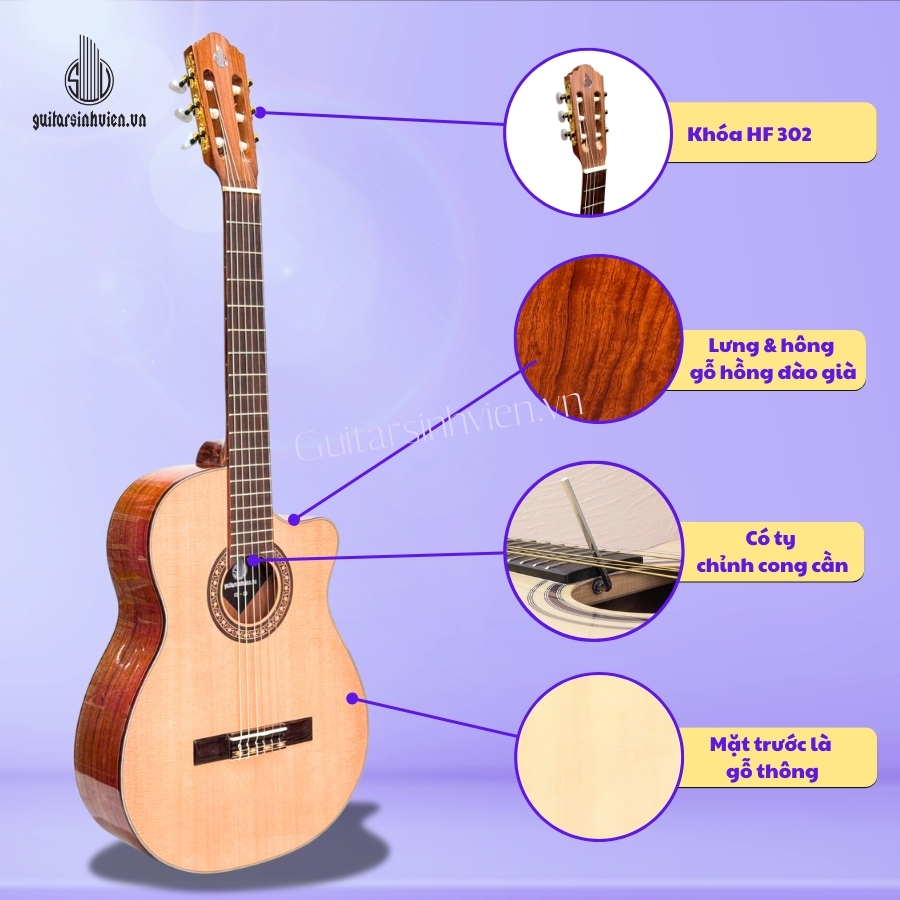 Đàn Guitar Classic Gỗ Hồng Đào SV-C3 Đàn Guitar Classic Gỗ Hồng Đào SV-C3