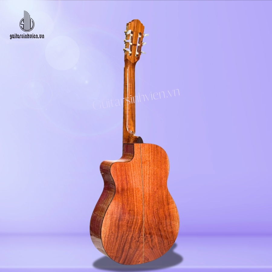 Đàn Guitar Classic Gỗ Hồng Đào SV-C3 Đàn Guitar Classic Gỗ Hồng Đào SV-C3