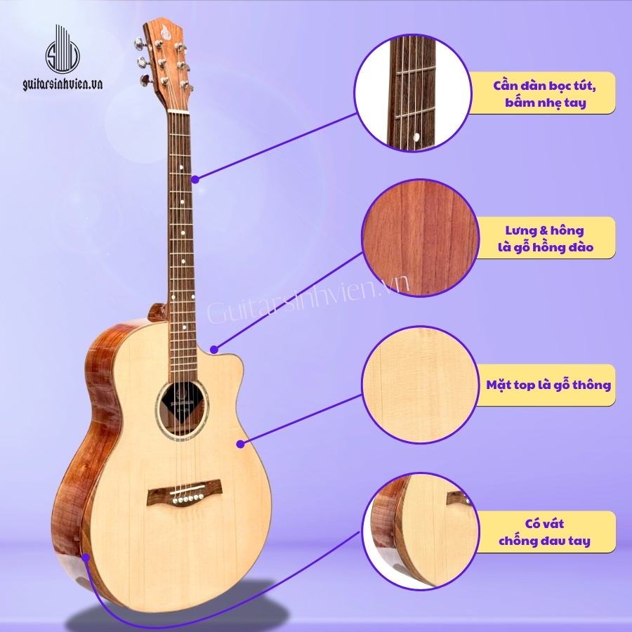 Guitar Acoustic Gỗ Hồng Đào Có Vát Bavel SV-A2V Guitar Acoustic Gỗ Hồng Đào Có Vát Bavel SV-A2V