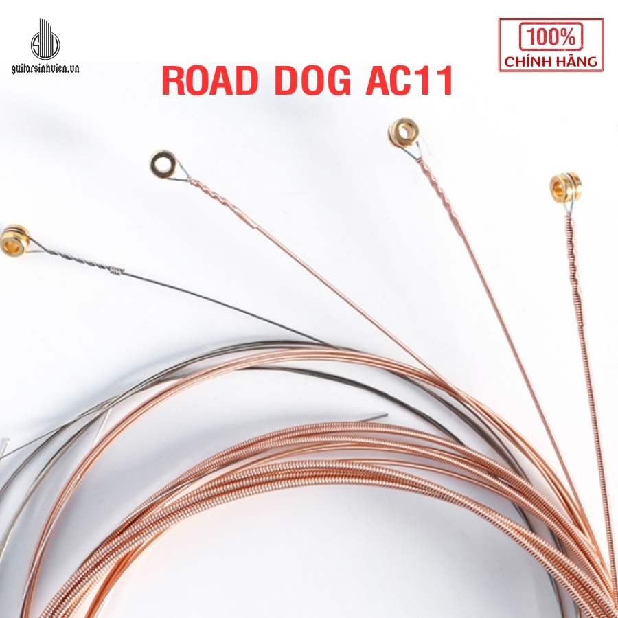 Dây Đàn Guitar Acoustic Road Dog AC11 Dây Đàn Guitar Acoustic Road Dog AC11